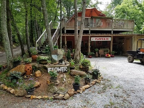 Beautiful Seasonal Flowers Banner